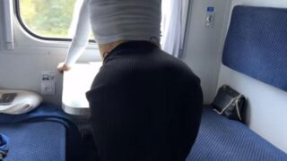 Mi Compañera de Viaje es Muy Simpática